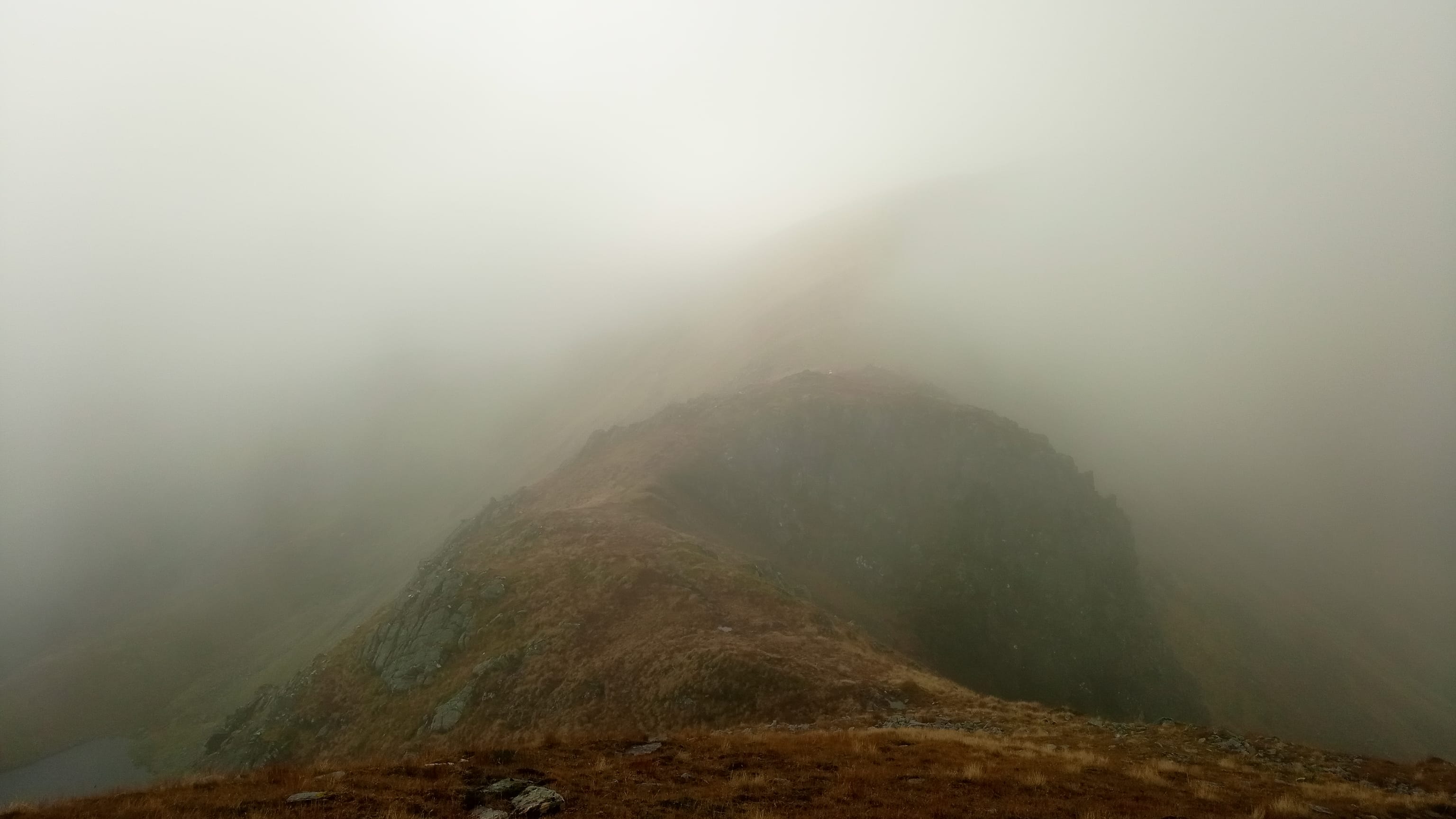 Fog on a ridge