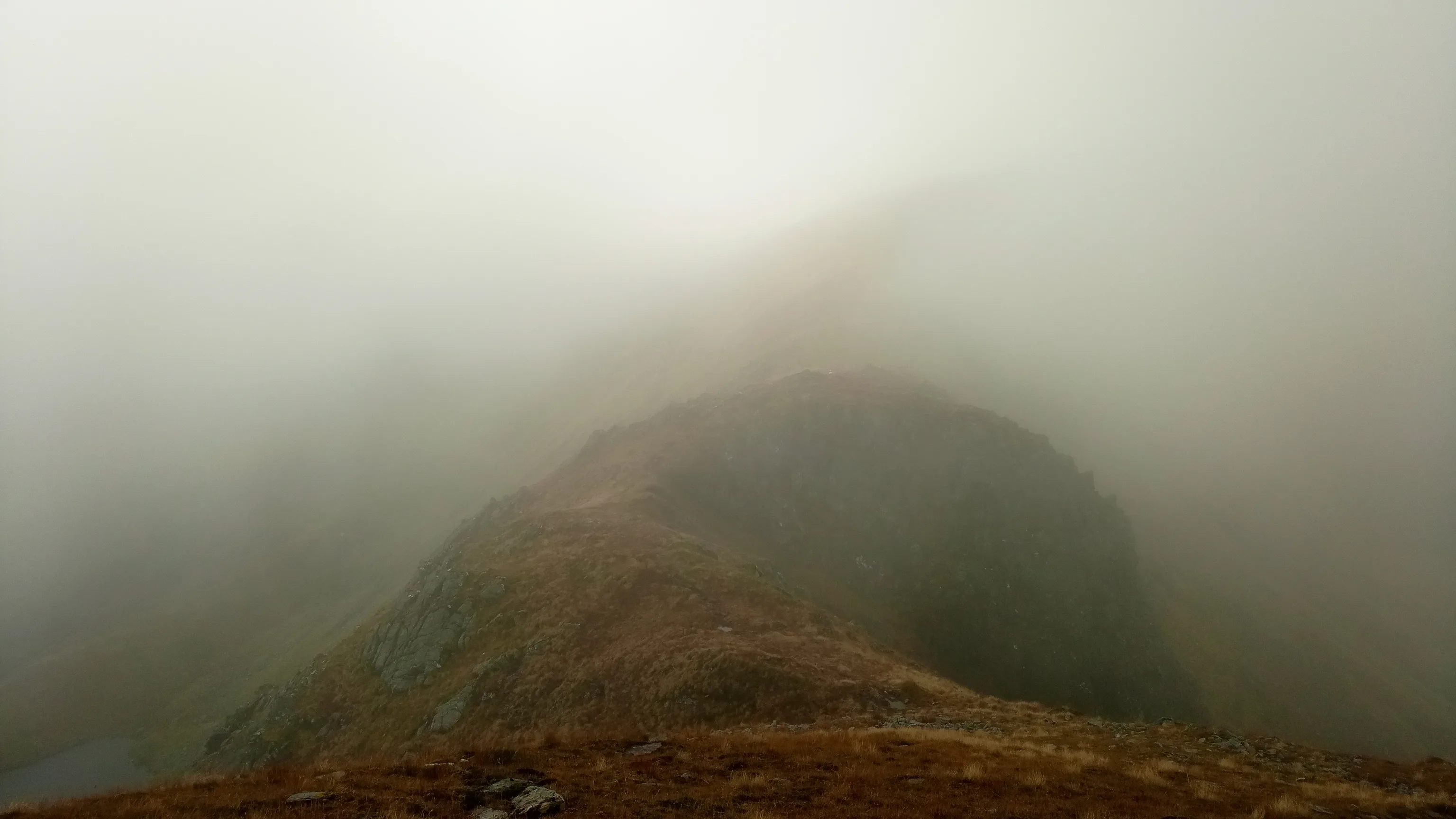 Fog on a ridge