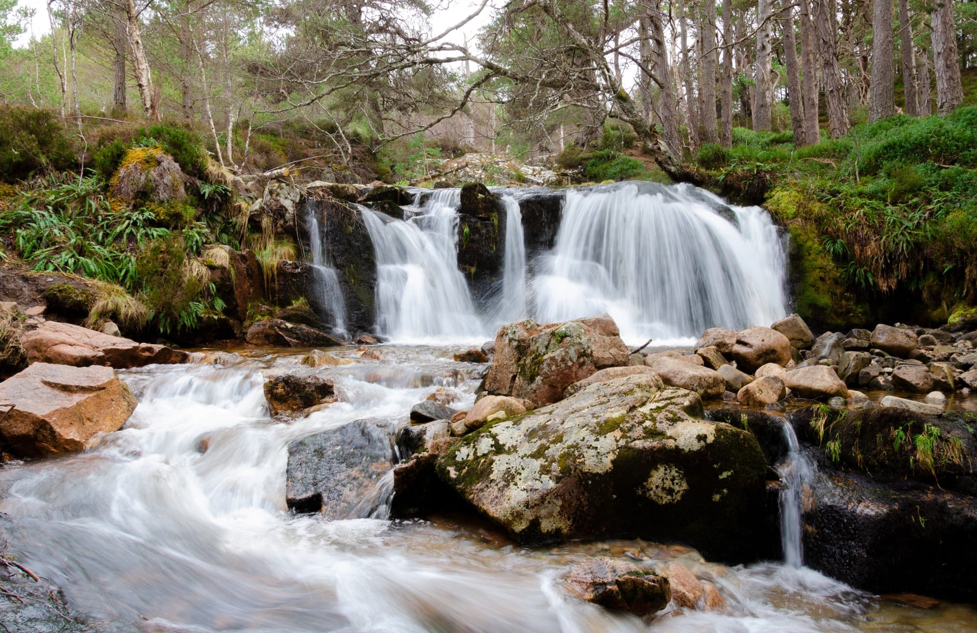 A waterfall and a burn